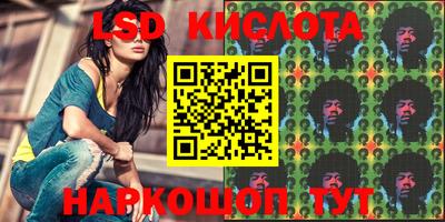 гидра Кандалакша