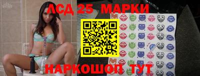 гидра Кандалакша
