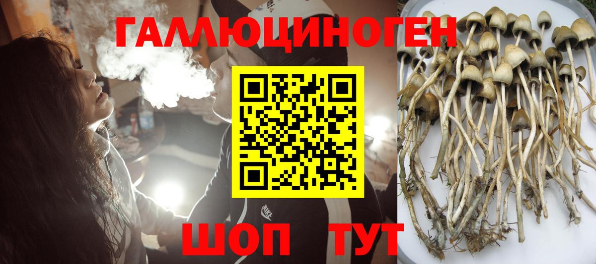 Галлюциногенные грибы мицелий  Галлюциногенные грибы ЛСД  Ярцево  Вход с VPN 