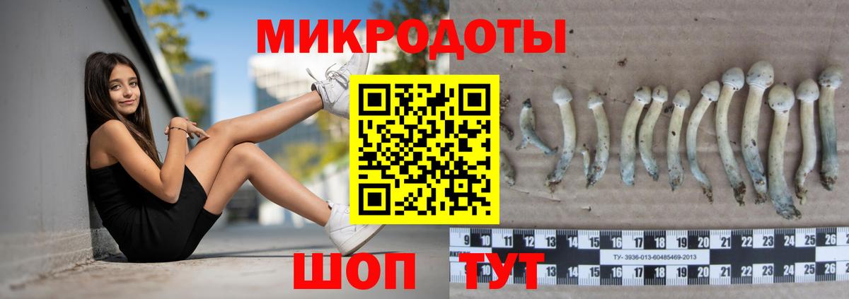 Галлюциногенные грибы Psilocybe Ярцево